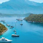 Direction Island Guide: Beaches, The Rip, Ferries & Safety Tips